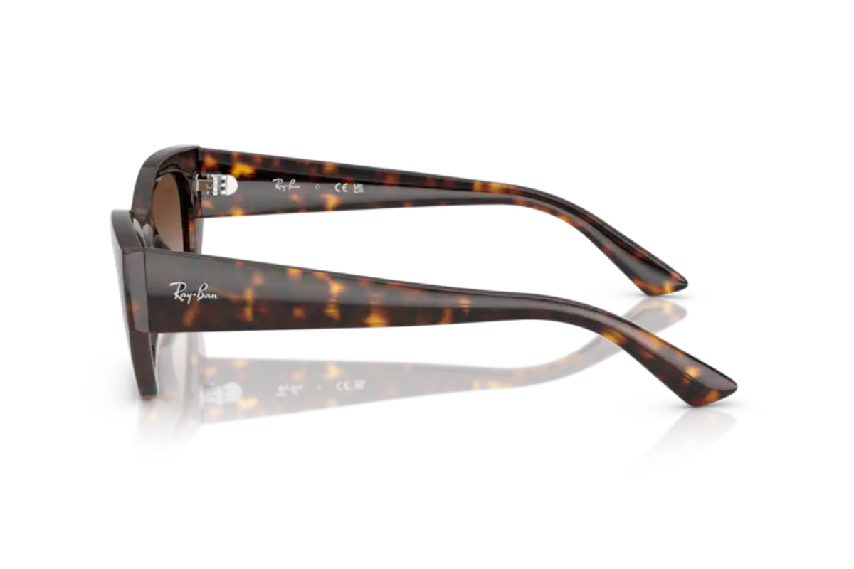 Ray-Ban Lentes de Sol Zena RB4430