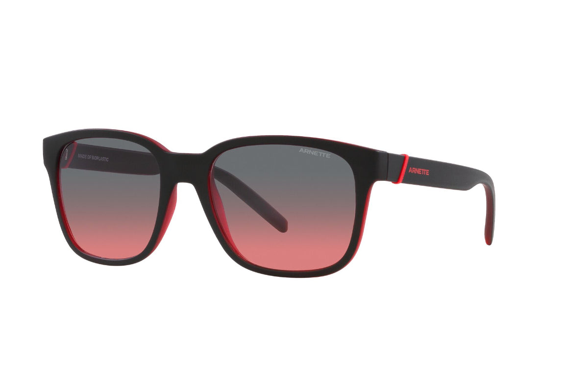 Arnette Lentes de Sol Surry Hills AN4320