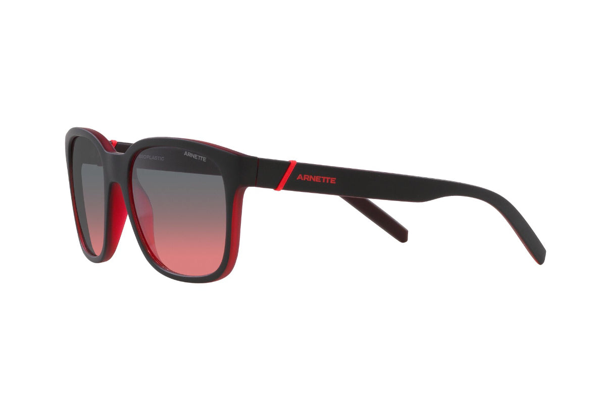 Arnette Lentes de Sol Surry Hills AN4320