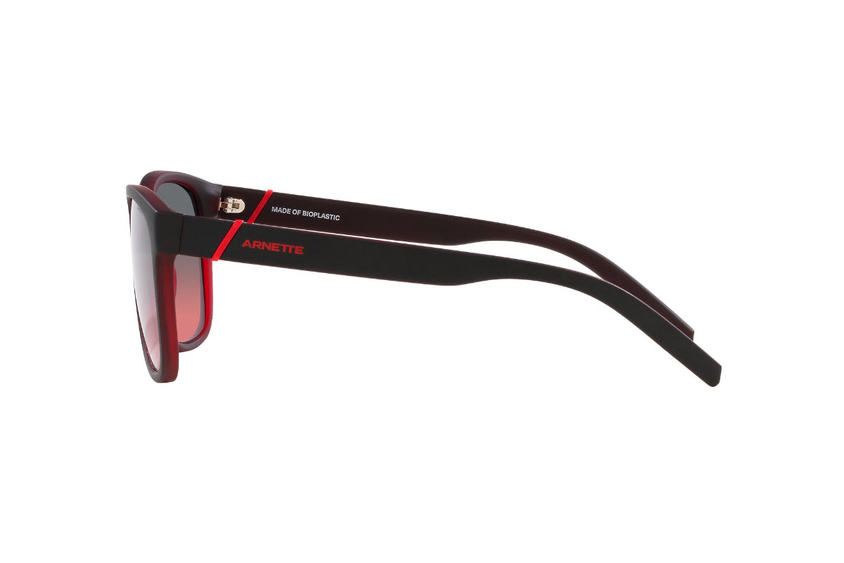 Arnette Lentes de Sol Surry Hills AN4320