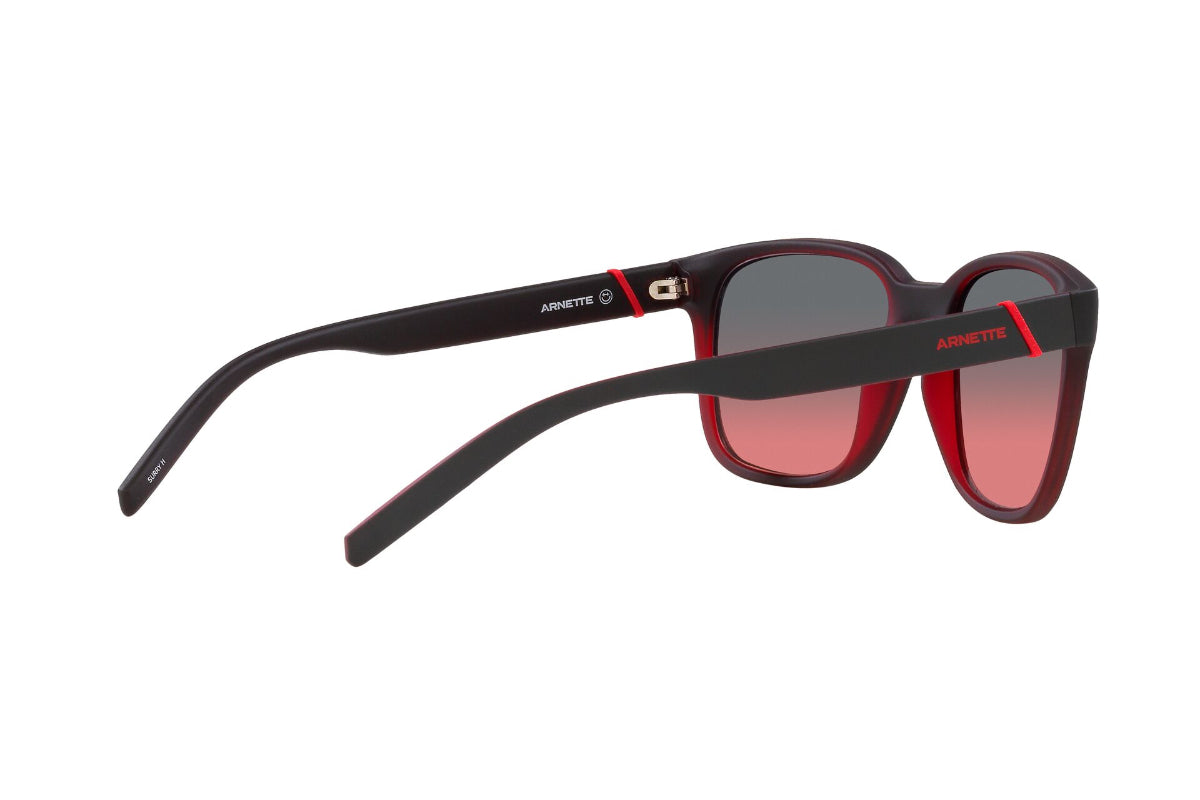 Arnette Lentes de Sol Surry Hills AN4320