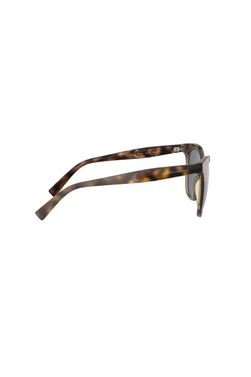 Lentes De Sol Shiny Havana Exchange Armani