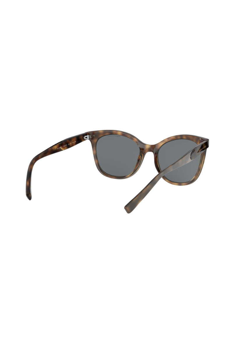 Lentes De Sol Shiny Havana Exchange Armani