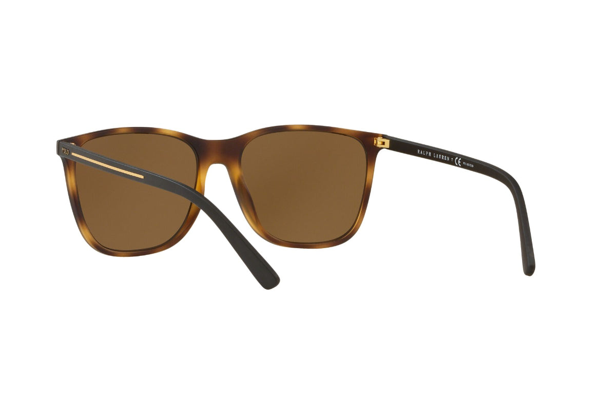 Lentes de Sol Tortoise Polo