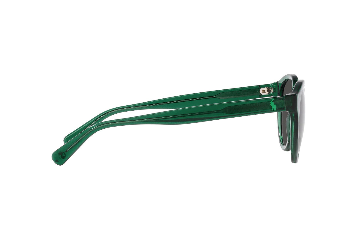 Polo Lentes de Sol PH4192