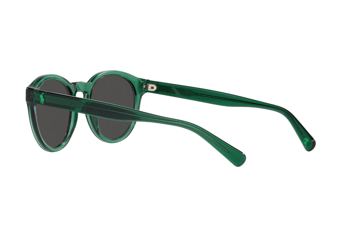Polo Lentes de Sol PH4192