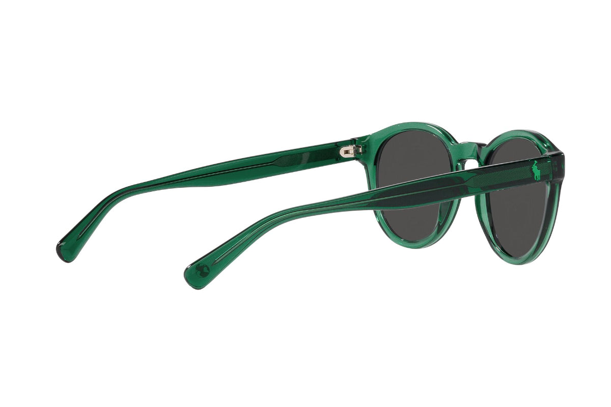 Polo Lentes de Sol PH4192