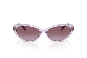 Ralph Lentes de Sol Degradados RA5338U