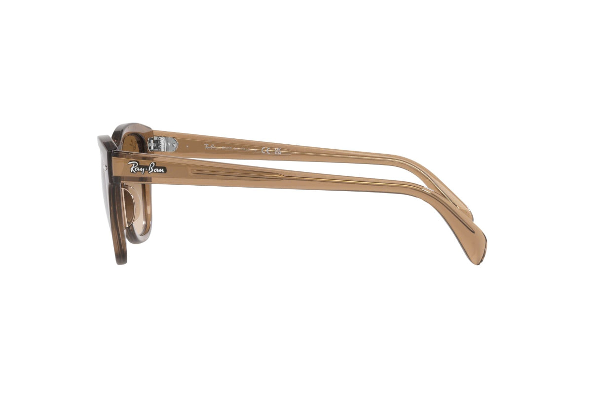 Ray-Ban Lentes de Sol RB0707S