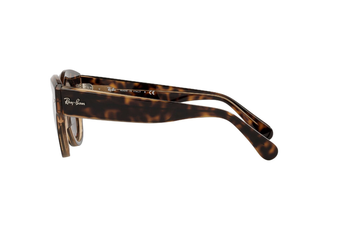 Lentes de Sol Roundabout Havana On Brown Ray Ban