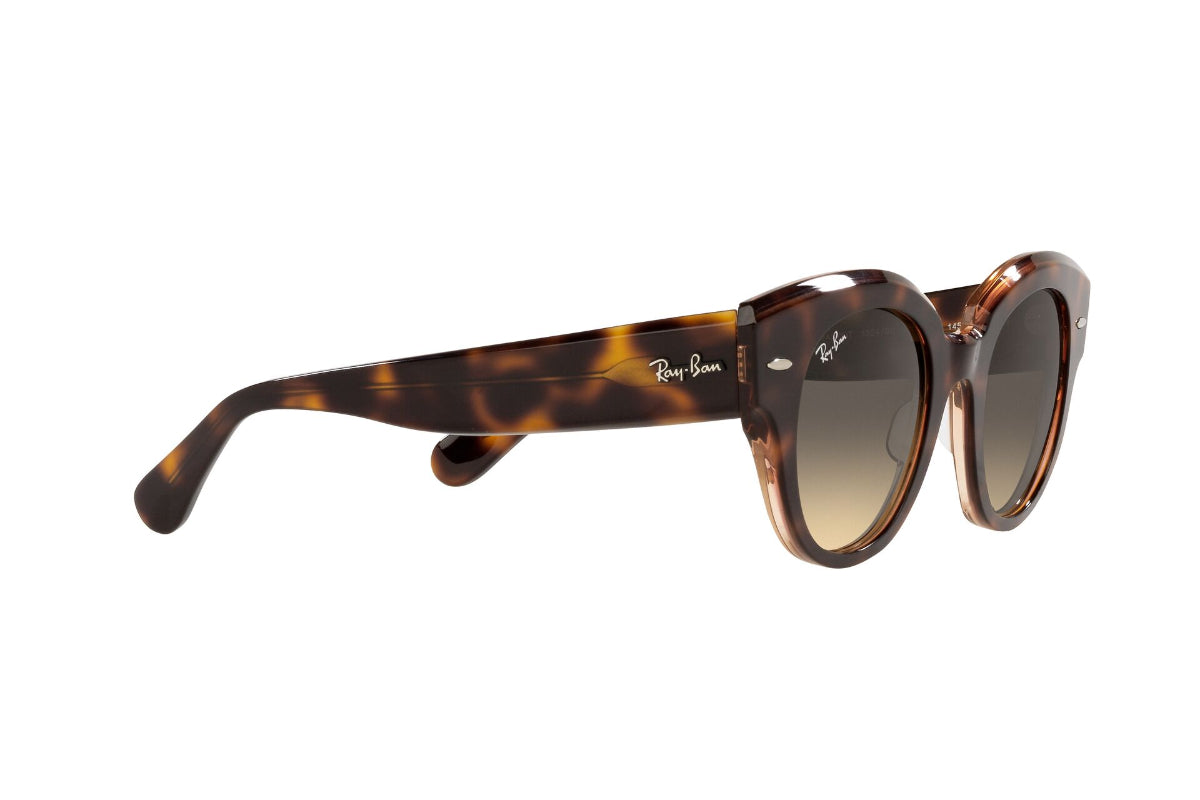 Lentes de Sol Roundabout Havana On Pink Ray Ban