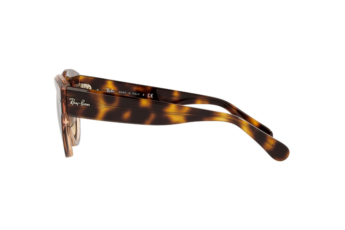Lentes de Sol Roundabout Havana On Pink Ray Ban