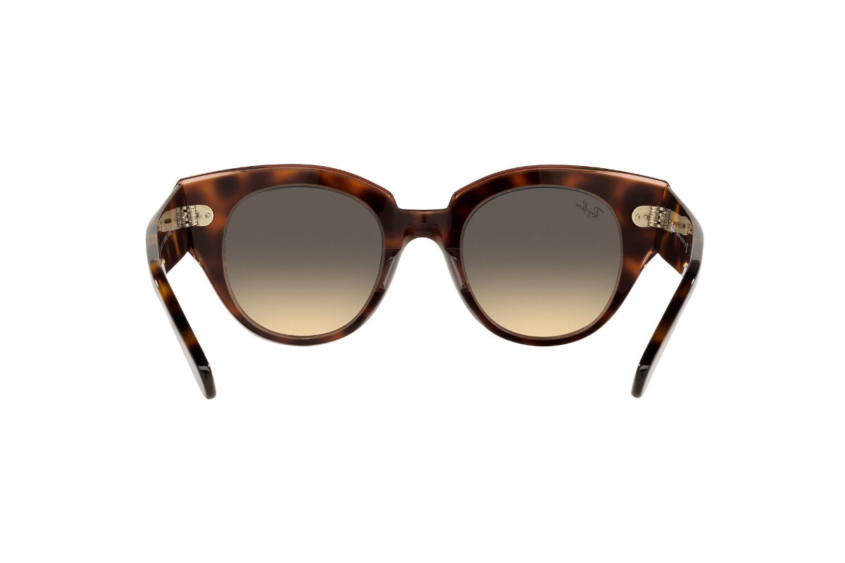 Lentes de Sol Roundabout Havana On Pink Ray Ban