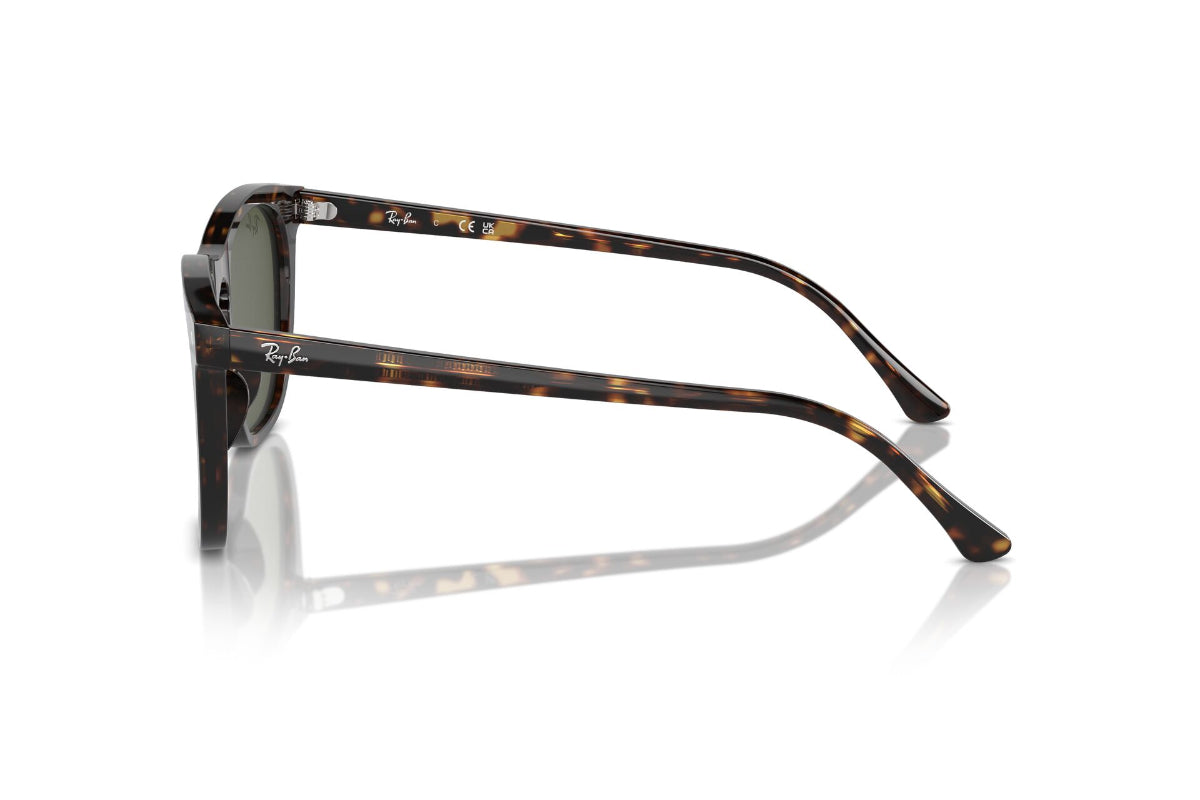 Ray-Ban Lentes de Sol RB2210