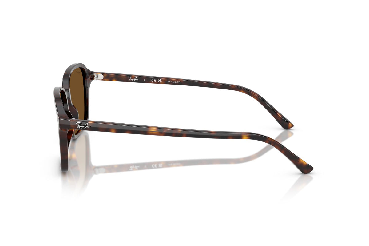 Ray-Ban Lentes de Sol Raimond Polarizados RB2231