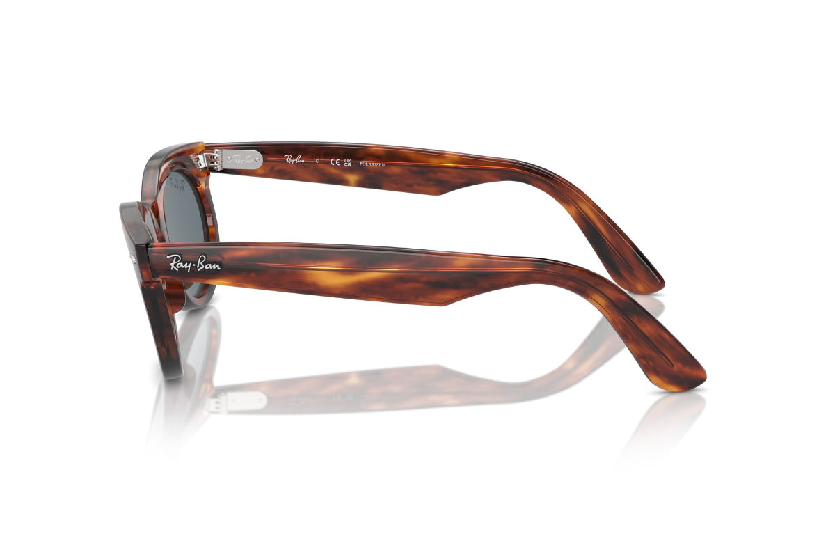 Ray-Ban Lentes de Sol Wayfarer Oval Polarizados RB2242