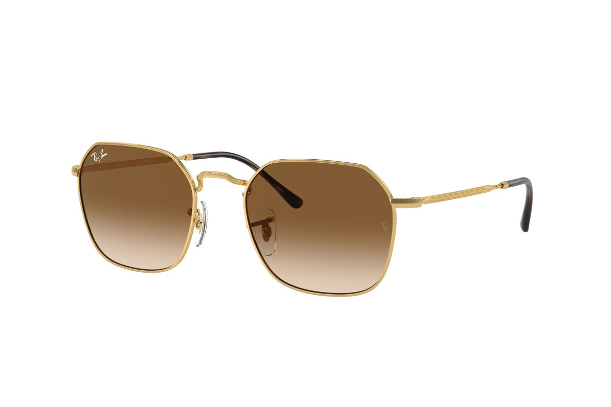Ray-Ban Lentes de Sol Jim RB3694