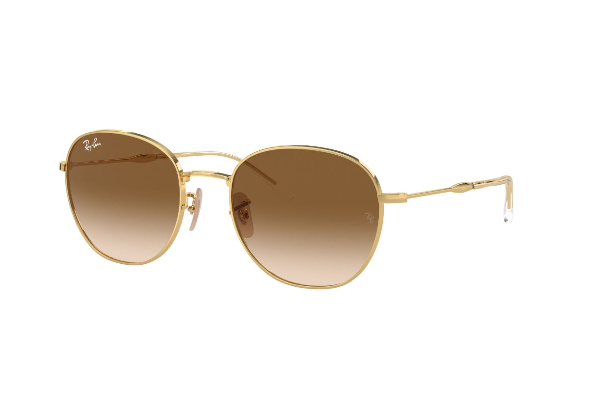 Ray-Ban Lentes de Sol RB3809