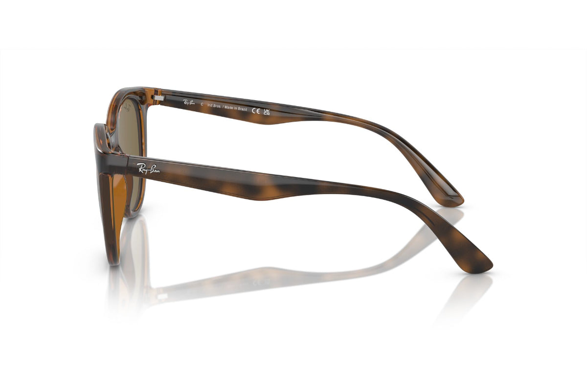 Ray-Ban Lentes de Sol RB4383L
