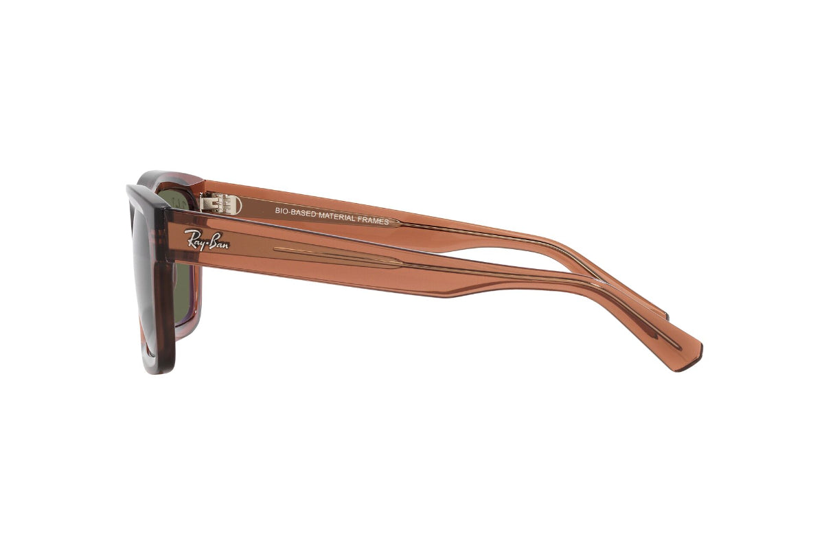 Ray-Ban Lentes de Sol Warren Polarizados RB4396