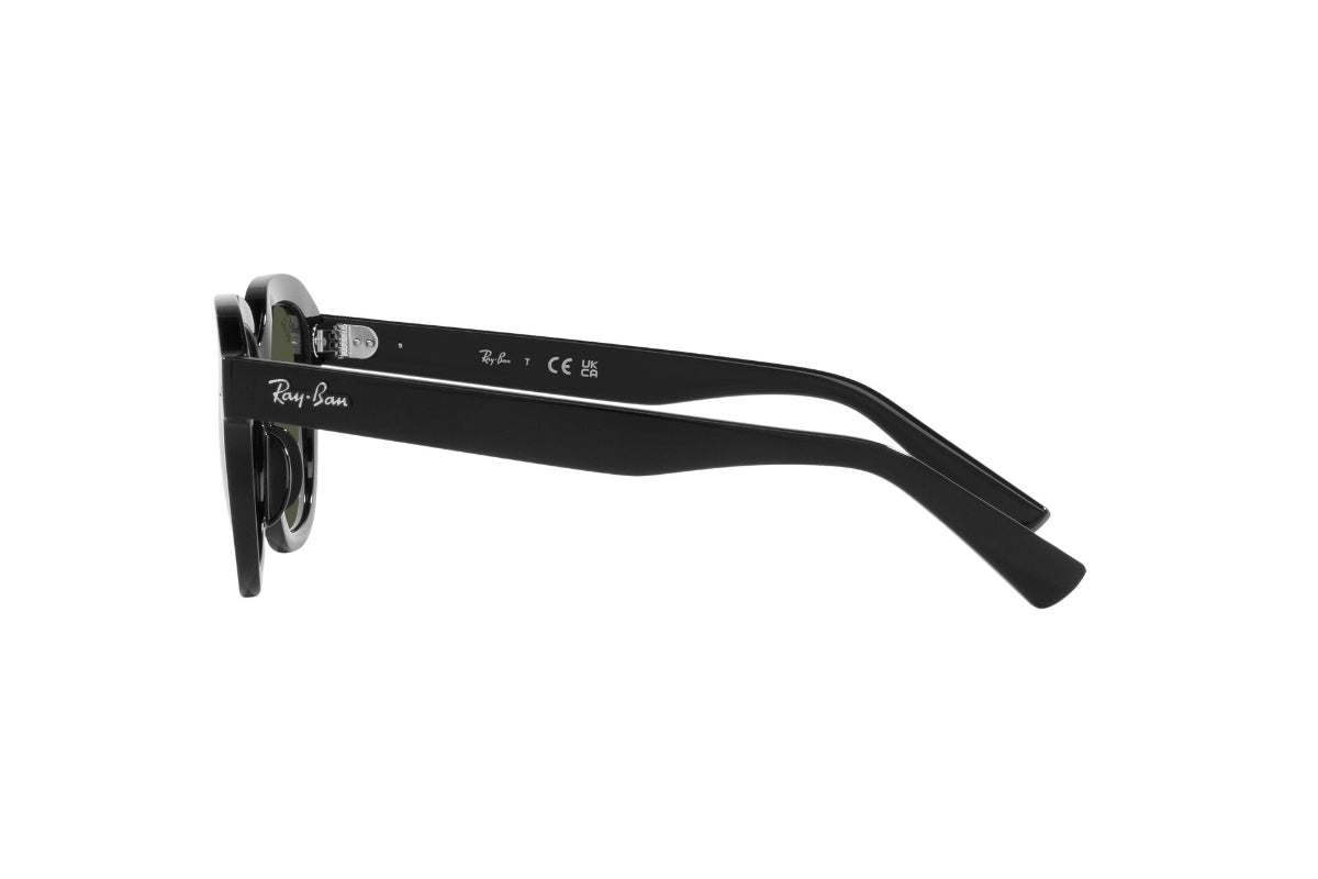 Ray-Ban Lentes de Sol Erik RB4398