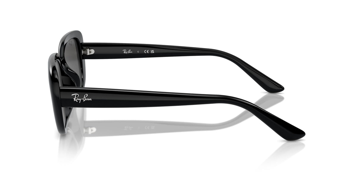 Ray-Ban Lentes de Sol RB4421D