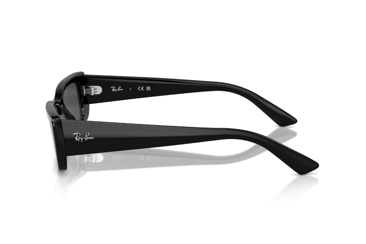 Ray-Ban Lentes de Sol Teru RB4425