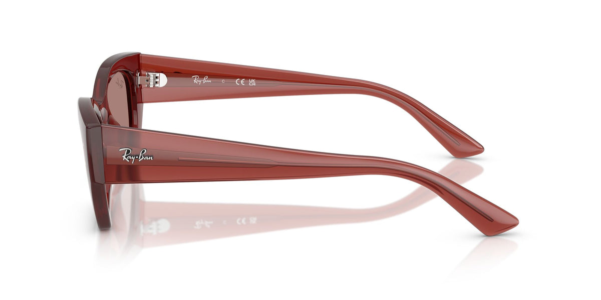 Ray-Ban Lentes de Sol Zena RB4430