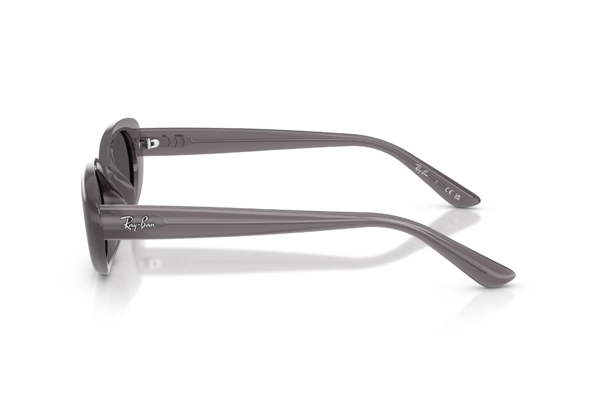 Ray-Ban Lentes de Sol RB4441D