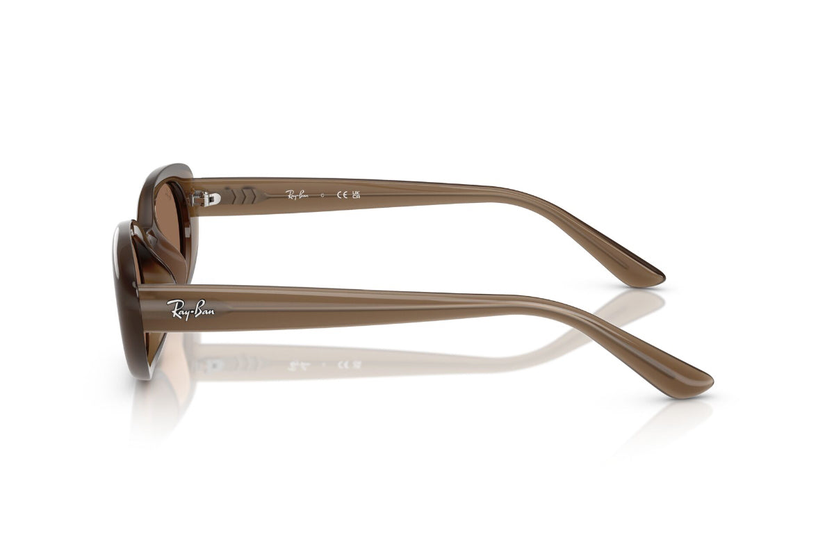 Ray-Ban Lentes de Sol RB4441D