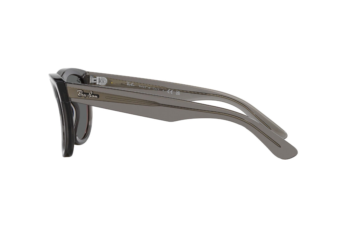 Ray-Ban Lentes de Sol Wayfarer Reverse RBR0502S