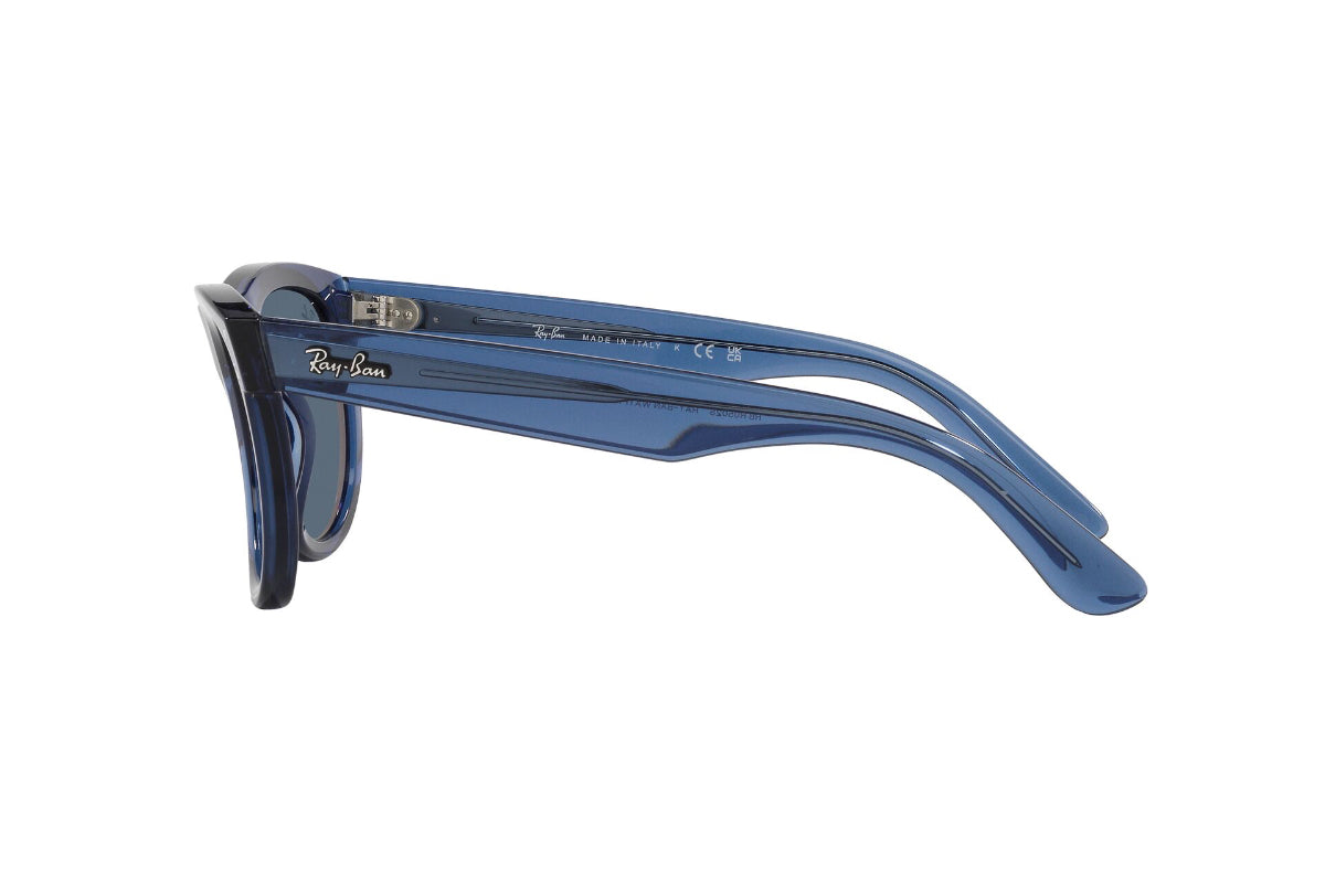 Ray-Ban Lentes de Sol Wayfarer Reverse RBR0502S