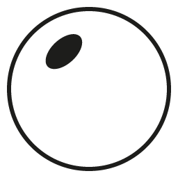 TRANSPARENTES