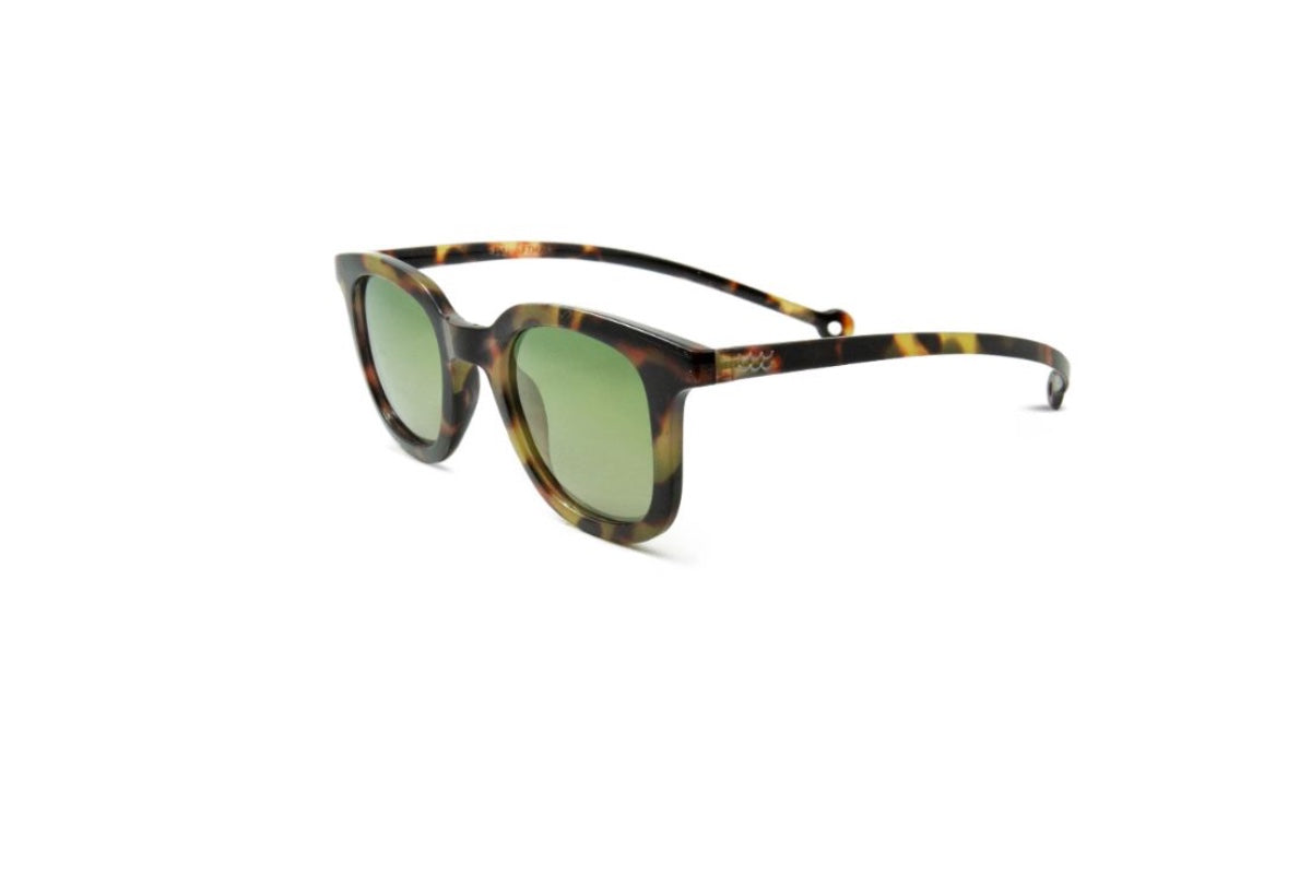 Parafina Lentes de Sol Cauce Polarizados PACAITR