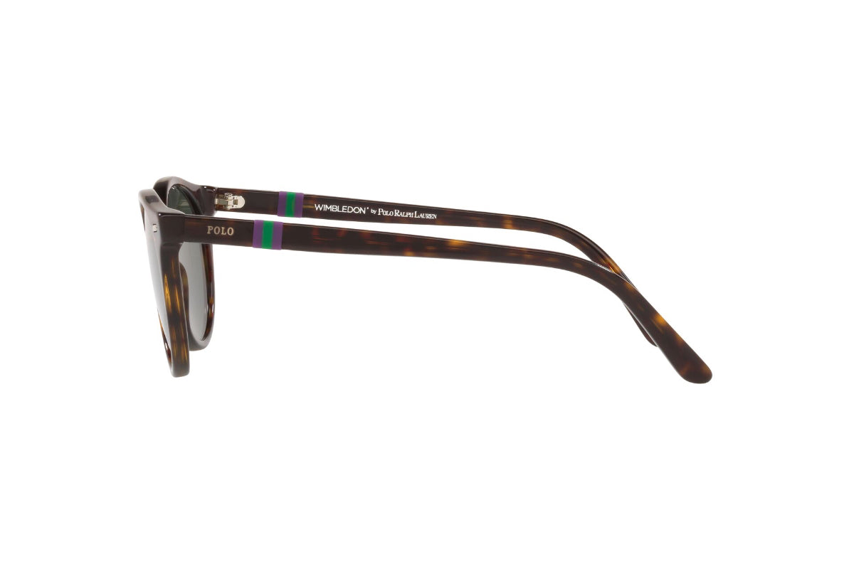 Polo Lentes de Sol PH4151