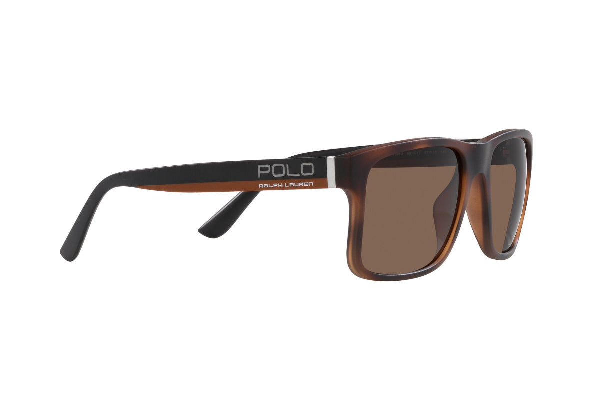 Polo Lentes de Sol PH4195U