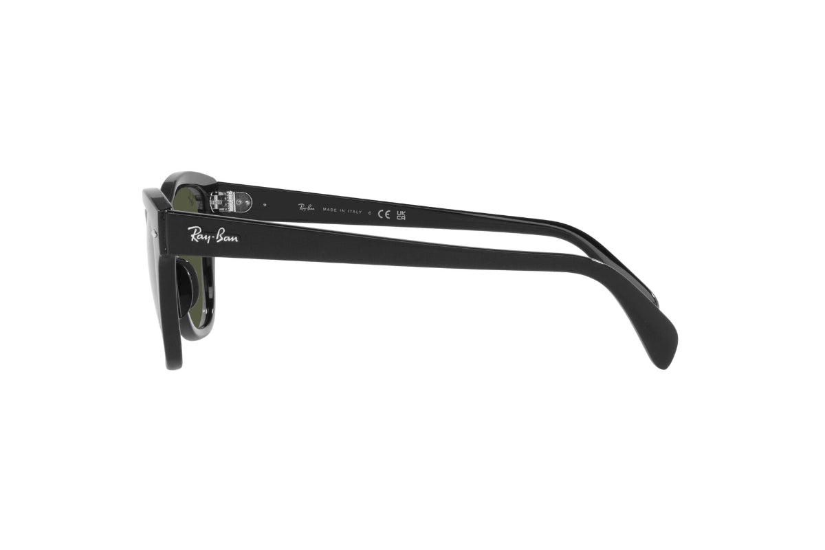 Ray-Ban Lentes de Sol RB0707S