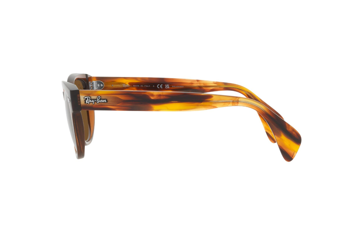 Ray-Ban Lentes de Sol Polarizados RB0880S