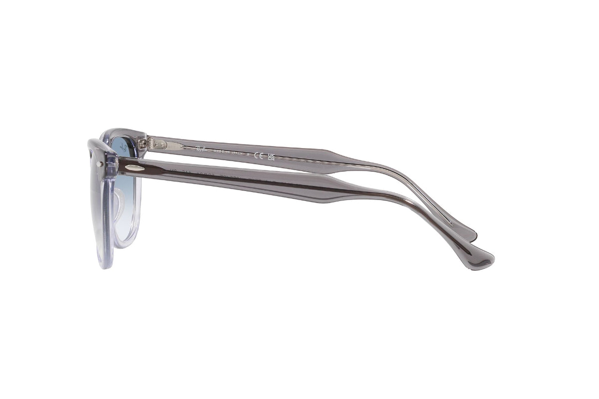 Ray-Ban Lentes de Sol Eagleeye RB2398
