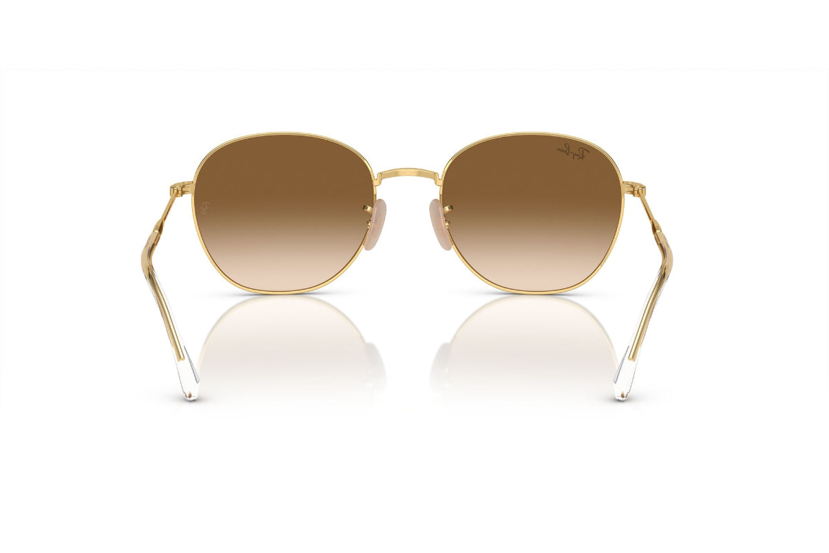 Ray-Ban Lentes de Sol RB3809