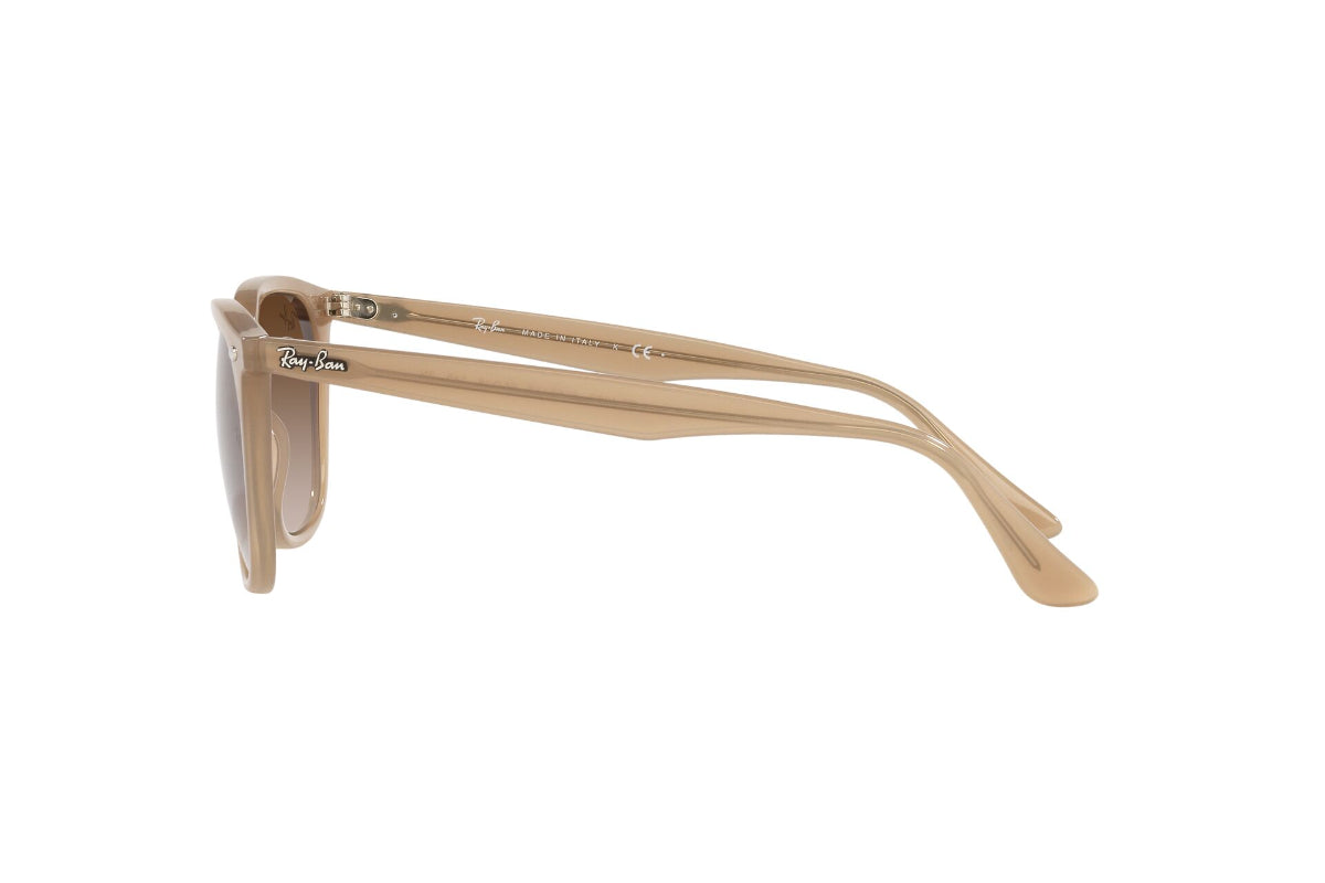 Ray-Ban Lentes de Sol RB4362