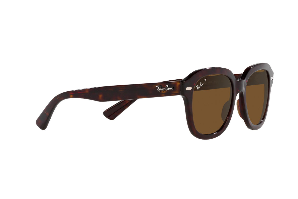 Ray-Ban Lentes de Sol Erik Polarizados RB4398