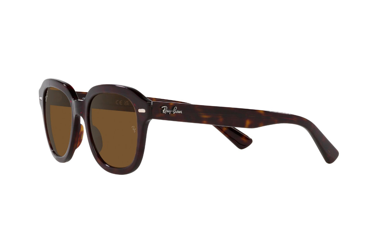 Ray-Ban Lentes de Sol Erik Polarizados RB4398