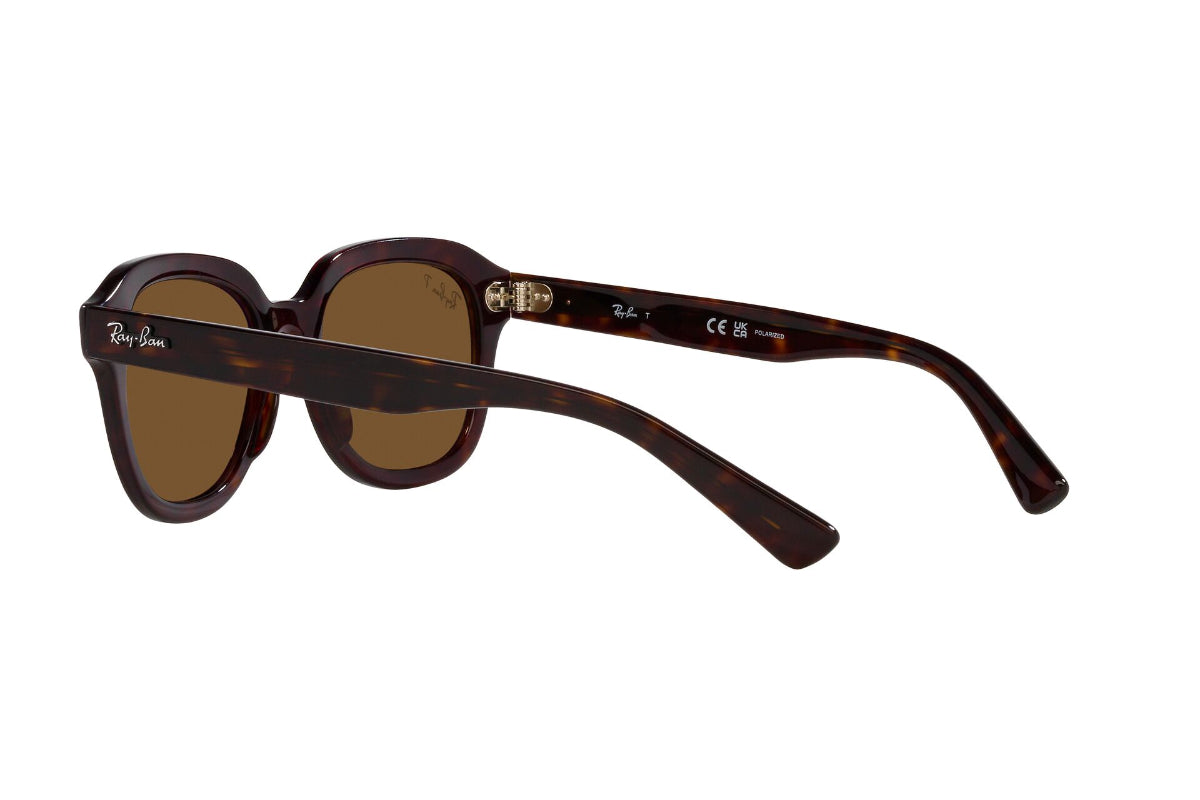Ray-Ban Lentes de Sol Erik Polarizados RB4398