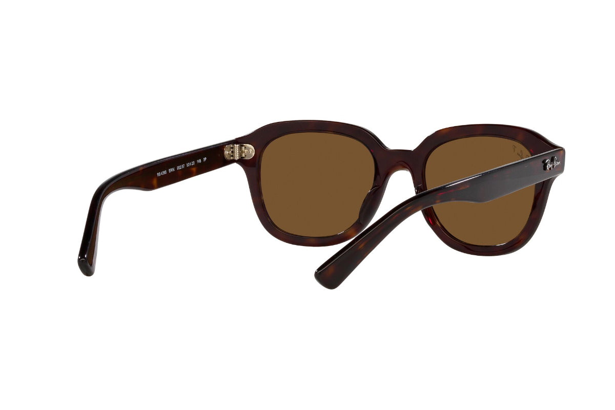 Ray-Ban Lentes de Sol Erik Polarizados RB4398