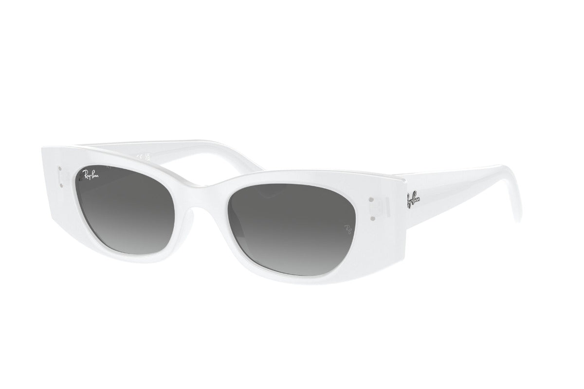 Ray-Ban Lentes de Sol Kat Degradados RB4427